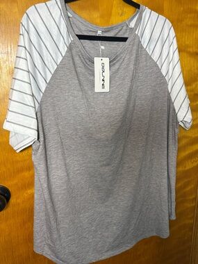 DOLNINE Plus Size 22W Gray Stripe Raglan Tee NWT Casual Top